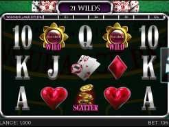 21 Wilds